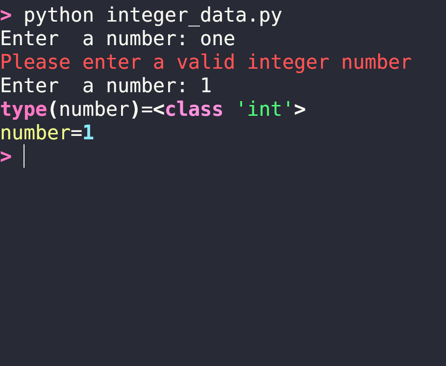integer data
