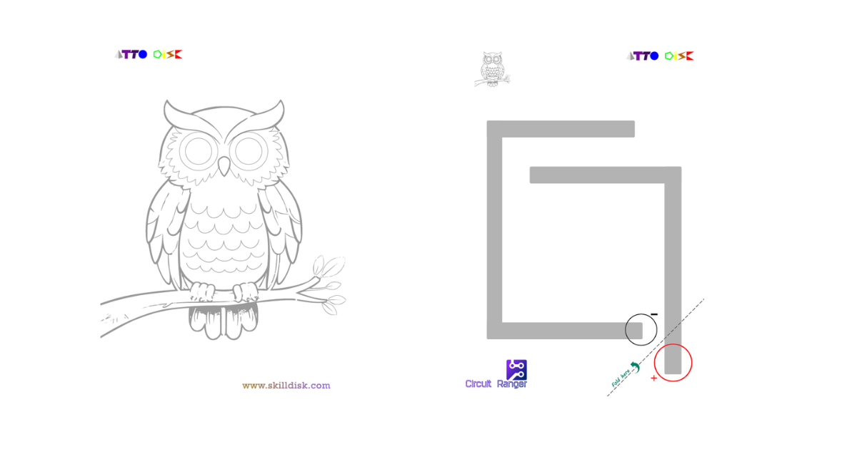 owl template